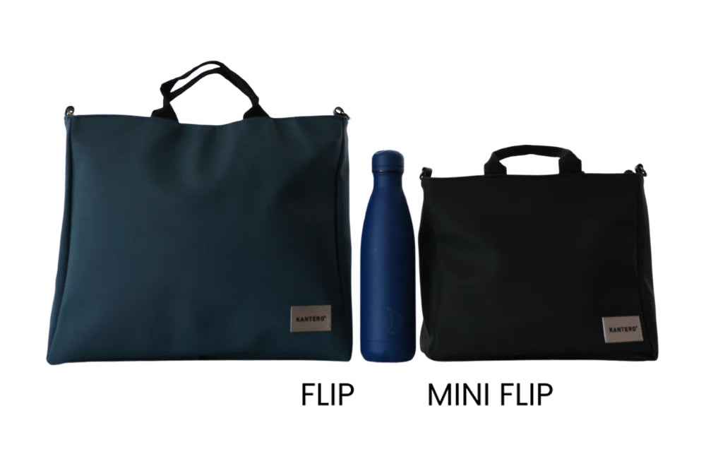 פליפ ברונזה קרוקו