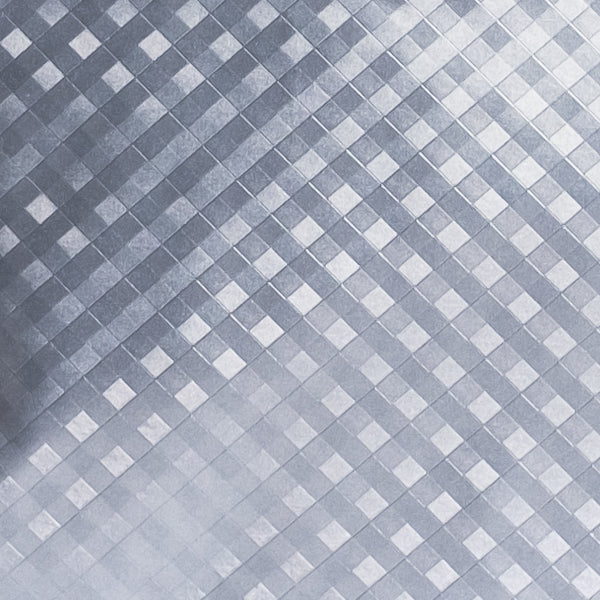 תיק גב אקספרט- כסוף תכלת נירוסטה